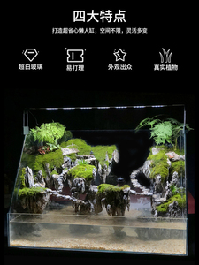 烟火水陆缸造景植物造景雨林缸乌龟两栖景观悬浮景观斜口玻璃缸