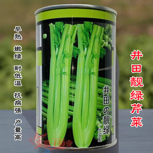 璐通井田靓绿芹菜种子四季蔬菜种子早熟产量高纤维少实心芹菜种籽