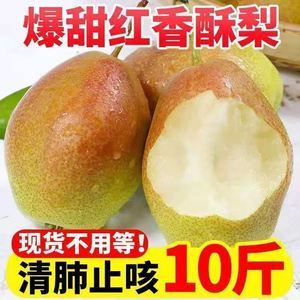 【现摘现发】红香酥梨新鲜水果3/5/10斤源自库尔勒香梨皮薄脆梨子