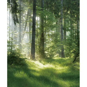 森林沐浴露广告背景布森林树木绿色婚纱影楼摄影直播背景墙定制
