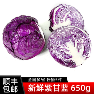 紫甘蓝650g 紫包菜球紫色红椰菜西餐蔬菜生菜轻食沙拉食材5件包邮