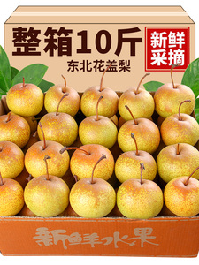 东北花盖梨10斤鞍山特产新鲜软梨子水果可做冻梨整箱秋子梨