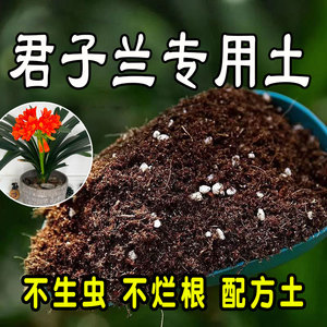 君子兰专用营养土 君子兰专用土 通用型盆栽花土种花养花种植土壤