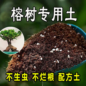 榕树专用营养土 榕树专用土 盆栽有机土花土种花养花绿植种植土壤