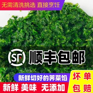 顺丰包邮荠菜野菜新鲜包邮4斤整棵冷冻荠荠菜速冻野生荠菜馅商用