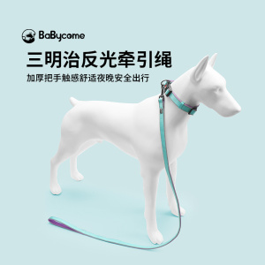 Babycome狗狗牵引绳狗绳子宠物项圈夜光遛狗绳拉布拉多中大型犬