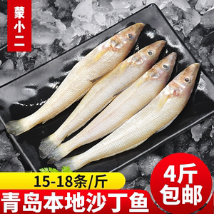 沙丁鱼4斤青岛海鲜海捕鲜活速冻新鲜冷冻深海鱼水产尖梭鱼沙尖鱼