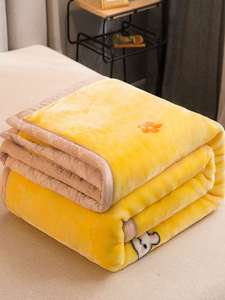 高档加厚双层拉舍尔毛毯被子床单秋季儿童学生宿舍单人午睡小盖毯