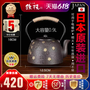铁技日本原装进口铁壶铸铁泡茶壶烧水壶煮茶壶生老铁壶纯手工