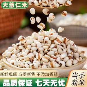 贵州薏仁米5斤农家新鲜去壳大薏米薏米仁五谷杂粮非红豆赤豆煲粥