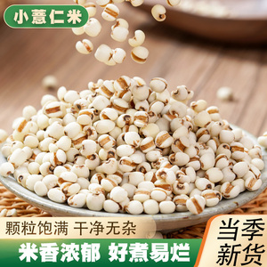 贵州小薏米5斤新货薏米仁新鲜去壳薏仁米五谷杂粮非赤豆红豆粗粮