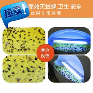 苏州灭鼠公司:城市卫生维护的秘密武器