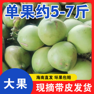 海南新鲜带皮青椰现摘大果5-7斤大椰青文昌三亚5/6个水多绿皮椰子