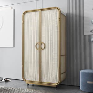 北欧多功能定制柜免安装家用卧室金色双开门轻奢铁艺现代简约衣柜