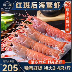红斑后海鳌虾刺身深海鲜活速冻大海虾国产非新西兰海鳌虾日料海鲜