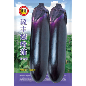 和利农 正源致丰烧烤茄种子黑紫色粗茄种籽四季阳台盆栽蔬菜种孑