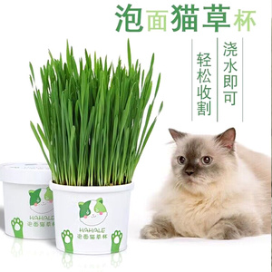 猫草盒一杯猫草套装小麦种子猫咪催吐化毛球助消化懒人种植营养土