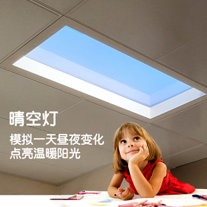 比利时SDMMD 晴空灯具自动调光仿天窗嵌入式过道卫生间厨房面板灯