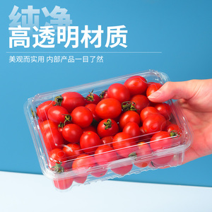 一次性水果盒子带盖透明塑料草莓盒果切蔬菜糕点打包盒包装盒樱桃