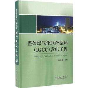 【正版书】 整体煤气化联合循环发电工程 许世森 著 中国电力出版