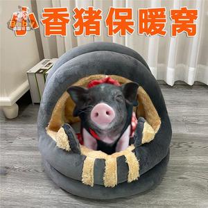 小香猪窝夏季凉席降温垫子宠物香猪专用品泰国荷兰猪生活睡觉的窝