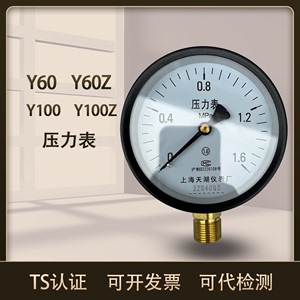 上海天湖压力表仪表储气罐压力表Y100 Y60 精度1.5 检测报告