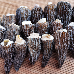 云南丽江羊肚菌干货优质剪柄羊肚蘑散装食用菌50克野生特产菌菇