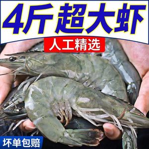 4斤装青岛大虾超大海鲜水产鲜活速冻海虾新鲜基围虾青虾对虾鲜虾