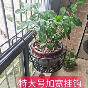 加宽特大号花架阳台栏杆花盆架铁艺悬挂式护栏盆栽月季家用置物架