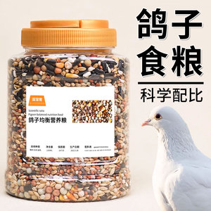 玉米粒鸽粮鸽子食饲料信鸽赛鸽种鸽专用营养粮食用品带小颗粒豌豆