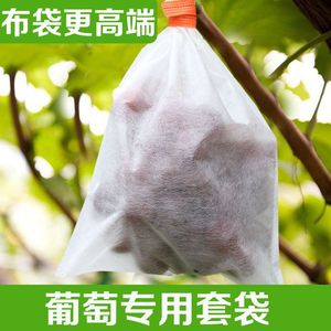 葡萄专用套袋防鸟罩防果蝇无纺布枇杷蔬菜瓜果水果防水防雨保护袋