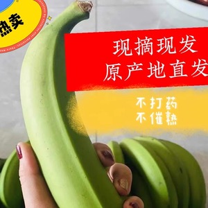 新鲜云南高山绿皮甜香蕉当季水果自然熟banana非芭蕉整箱10斤包邮