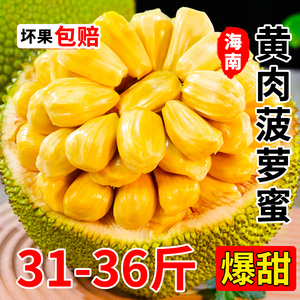 海南黄肉菠萝蜜一整个当季新鲜水果10斤以上树上熟干苞包邮非红心