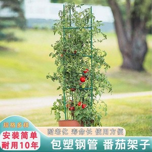 西红柿架子植物番茄爬藤架支架杆花架蔬菜茄子花盆架子支撑杆园艺