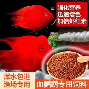 血鹦鹉鱼饲料红鹦鹉鱼鱼食虾红素增红增色发财鱼热带鱼小颗粒鱼粮