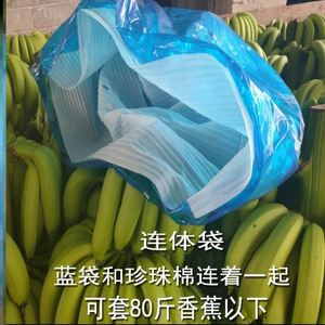 香蕉一体套袋防寒 香蕉套袋专用袋 香蕉袋香蕉套袋器香蕉套袋神器