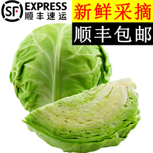 美邻惠享家山东寿光青甘蓝新鲜沙拉卷心菜大头菜顺丰包邮SX008SF