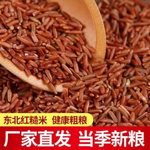 优质新红米5斤农家自产红糙米红大米新米香米煮粥代餐1斤包邮