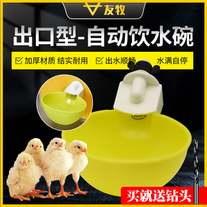 鸡用饮水碗家禽自动饮水器雏鸡喝水碗鸽子鹌鹑加厚喂水碗养殖设备