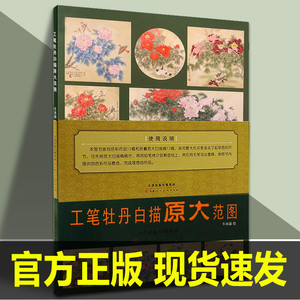 工笔牡丹白描原大范图散页车来通国画工笔画白描线描底稿花鸟花卉牡丹画稿入门素材画谱书籍 天津人美