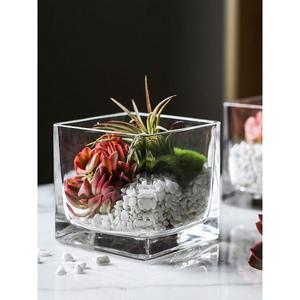 玻璃花瓶长方形大号鱼缸水培郁金香花盆欧式造景容器方型玻璃容器