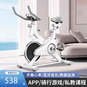 德国动感单车家用健身器材运动房专用室内减肥专业有氧锻炼自行车
