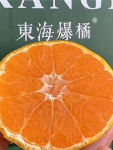 浙江东海爆橘新鲜水果蜜桔子大果6斤礼盒装整箱
