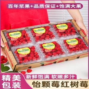 顺丰大果 云南怡颗莓红树莓鲜果当季孕妇水果新鲜覆盆子稀有