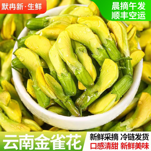 【现货】新鲜金雀花1斤 现摘云南当季野生阳雀花食用鲜花野菜