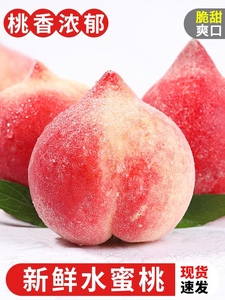 肥城新鲜水蜜桃现摘现发山东脆软甜桃当季新鲜水果整箱大桃子