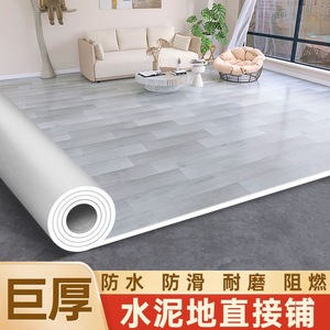 加厚地毯客厅卧室家用耐磨防水pvc地板铺垫子房间地垫大面积全铺