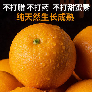正宗永兴冰糖橙10斤湖南郴州橙子当季甜橙新鲜水果18斤整箱非麻阳