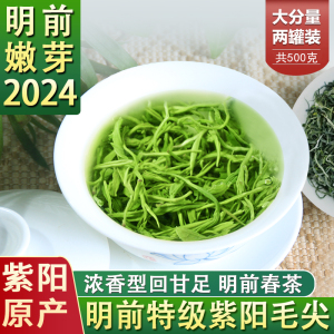 安康紫阳富硒茶2024新茶紫阳毛尖特级绿茶浓香型陕西特产陕青茶叶