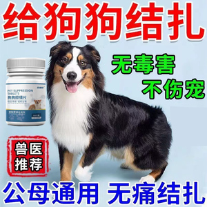 狗狗发情抑制药猫狗专用抑情片抑制发情紧急避孕药狗闹狗叫禁情液